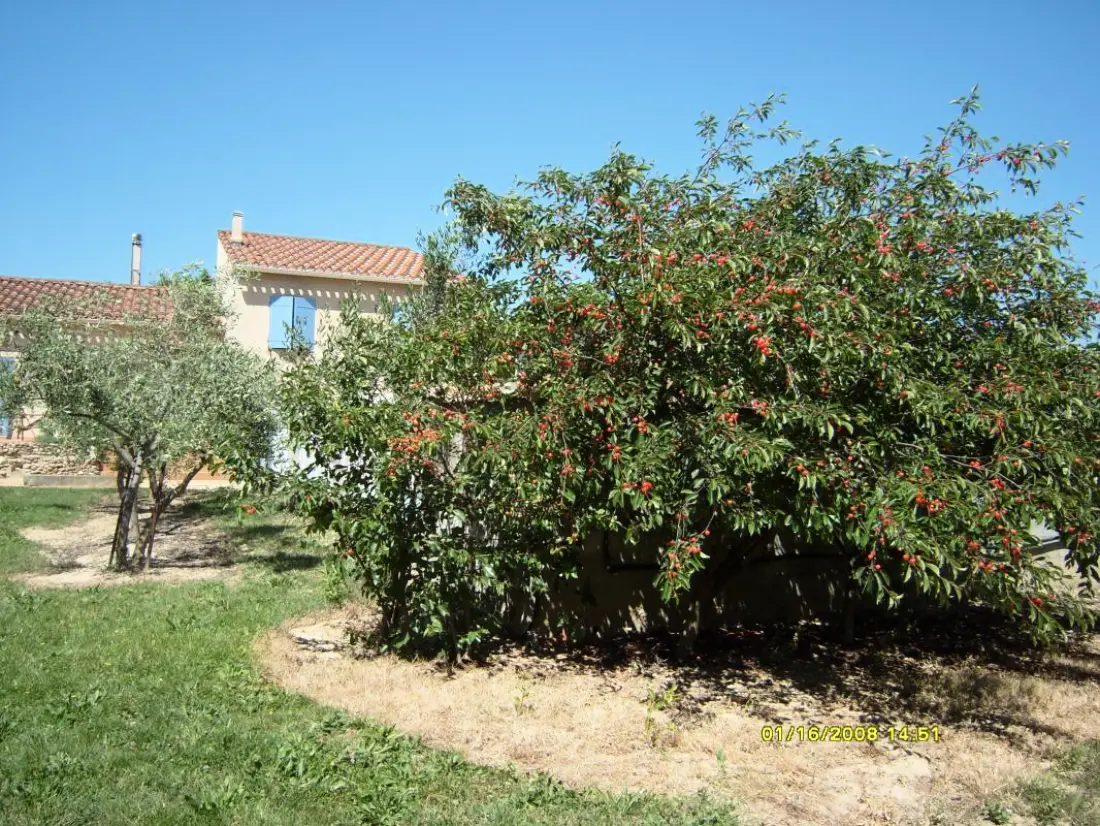 Gîte de France à Laure Minervois  7