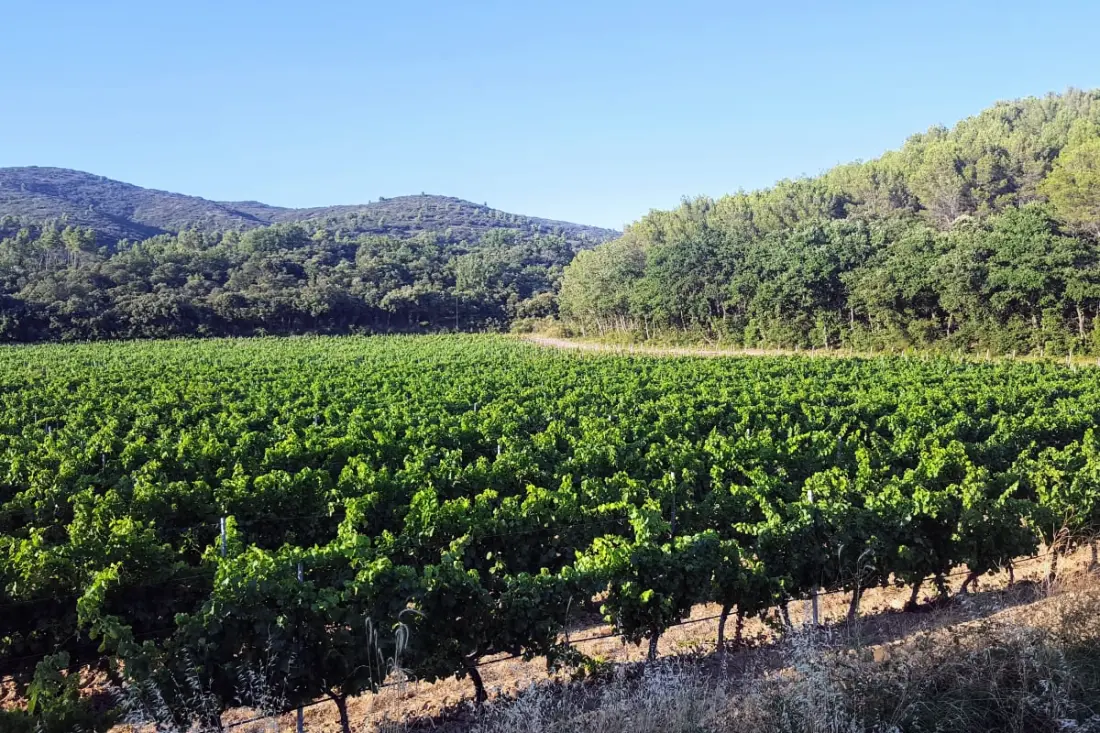 Maison Des Vignes : Piscine Et Charme à Lauris
