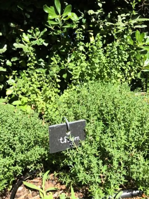 La Matina : Havre De Paix Familial Dans Un Jardin D'oliviers