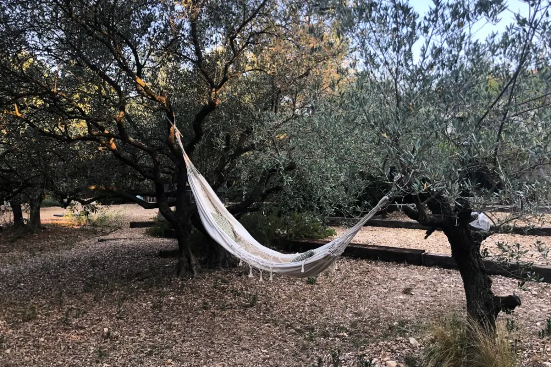 La Matina : Havre De Paix Familial Dans Un Jardin D'oliviers