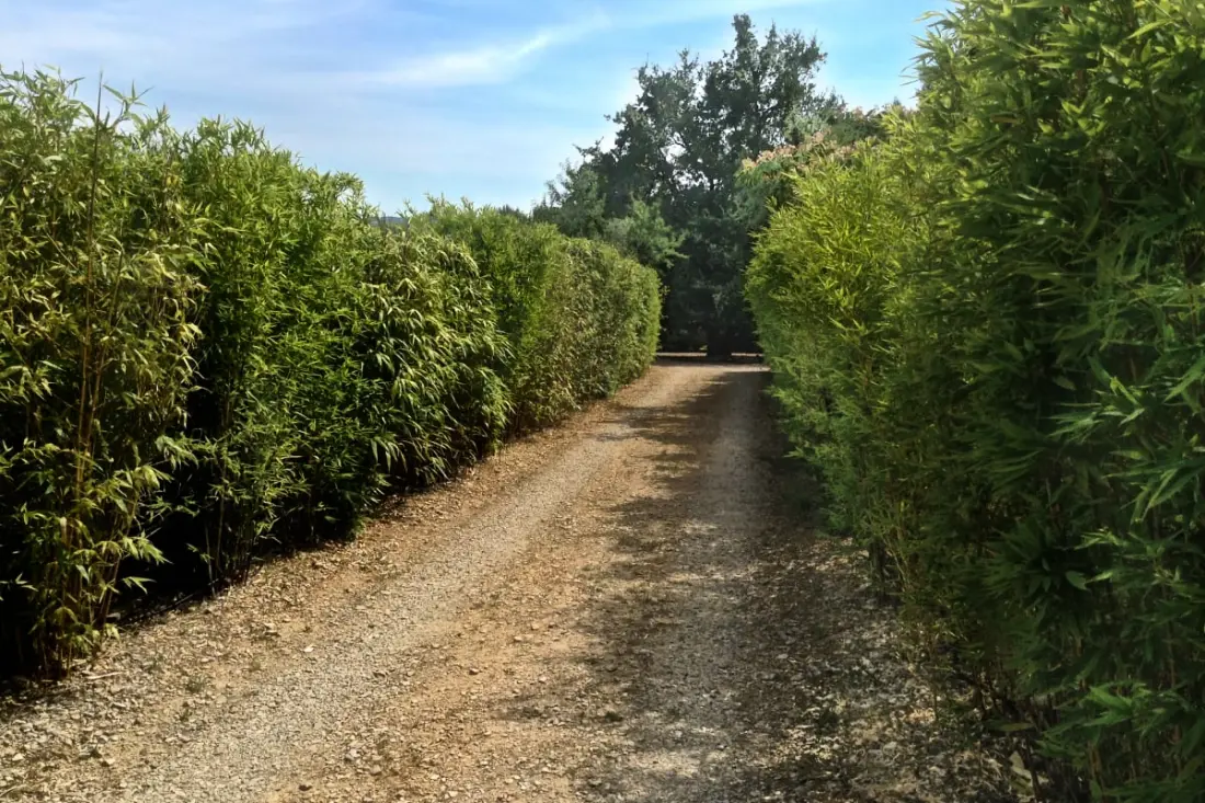 La Matina : Havre De Paix Familial Dans Un Jardin D'oliviers