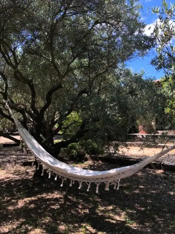 La Matina : Havre De Paix Familial Dans Un Jardin D'oliviers