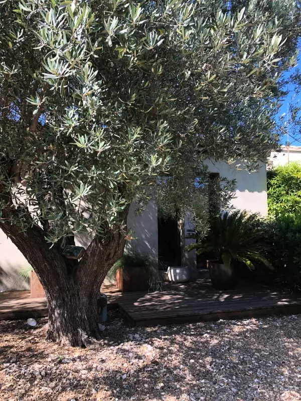 La Matina : Havre De Paix Familial Dans Un Jardin D'oliviers