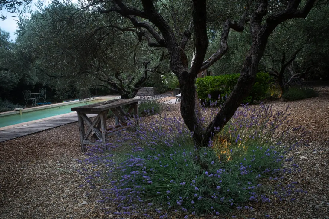 La Matina : Havre De Paix Familial Dans Un Jardin D'oliviers
