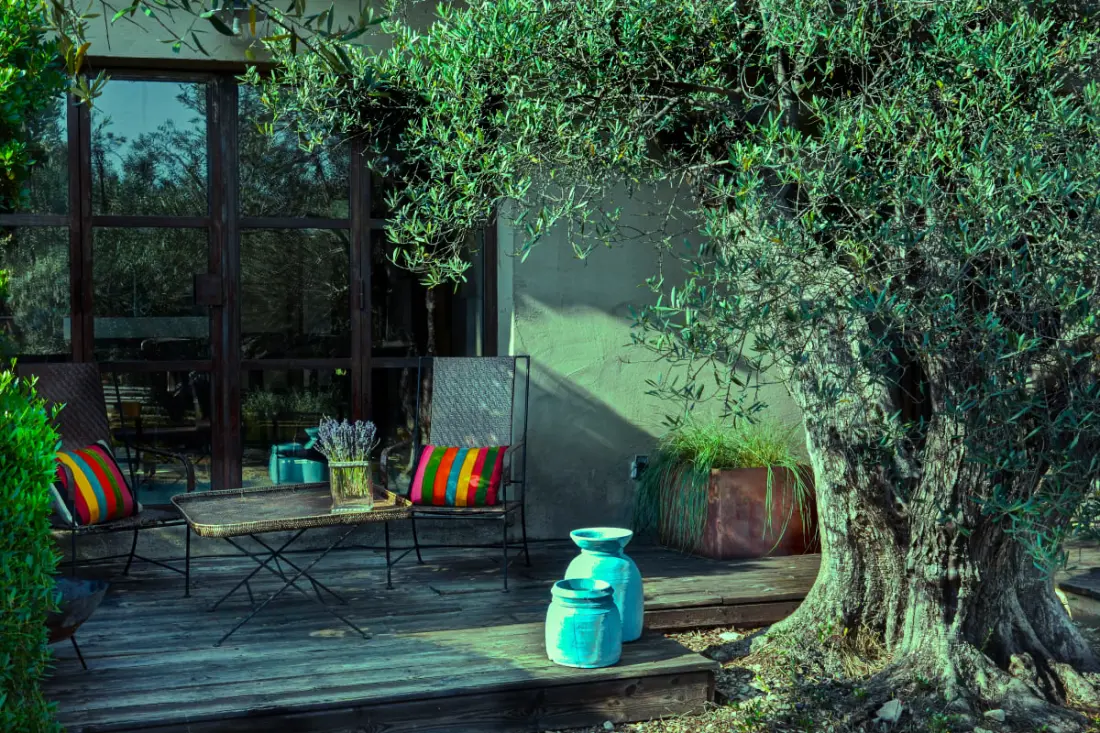 La Matina : Havre De Paix Familial Dans Un Jardin D'oliviers
