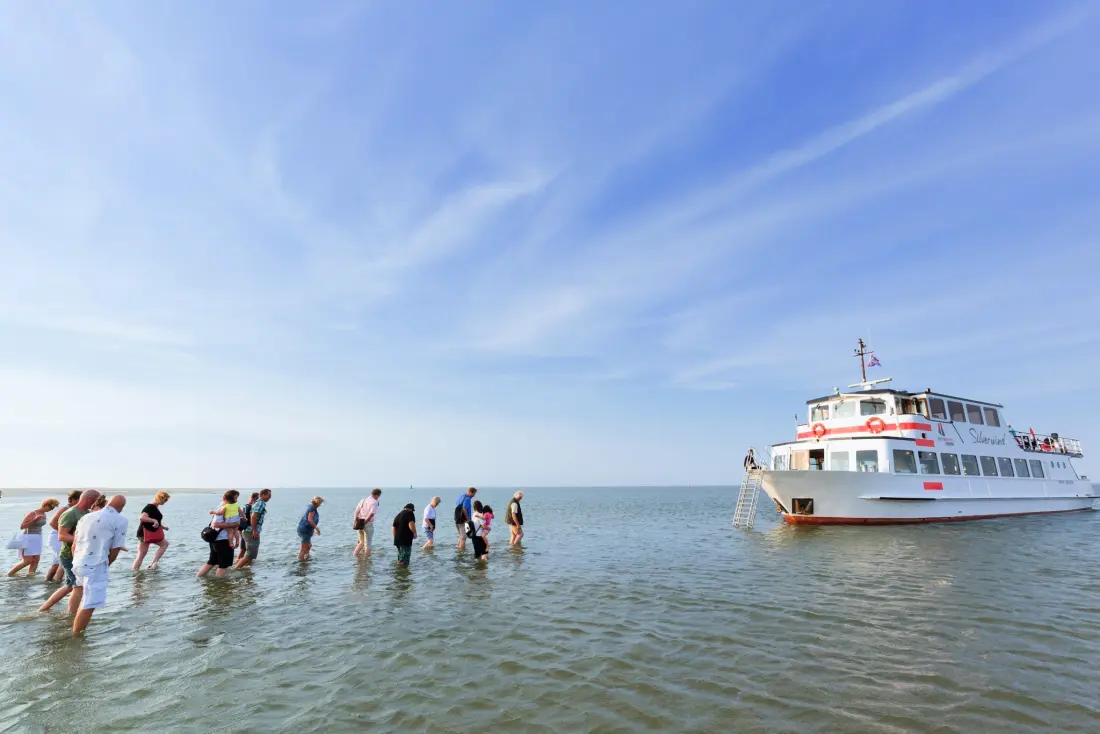 Siblu – Camping Lauwersoog 4 étoiles★★★★
