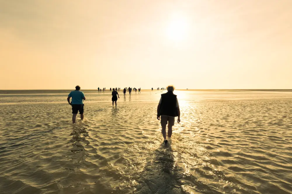 Siblu – Camping Lauwersoog 4 étoiles★★★★