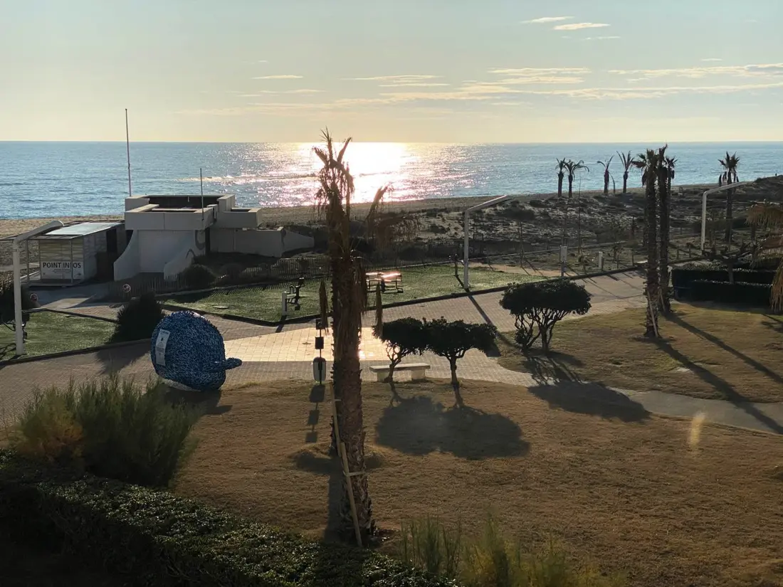 Location de Vacances Le Barcarès 381