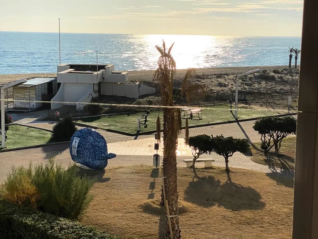Location de Vacances Le Barcarès 381