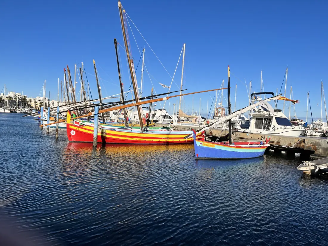 Location de Vacances Le Barcarès 519