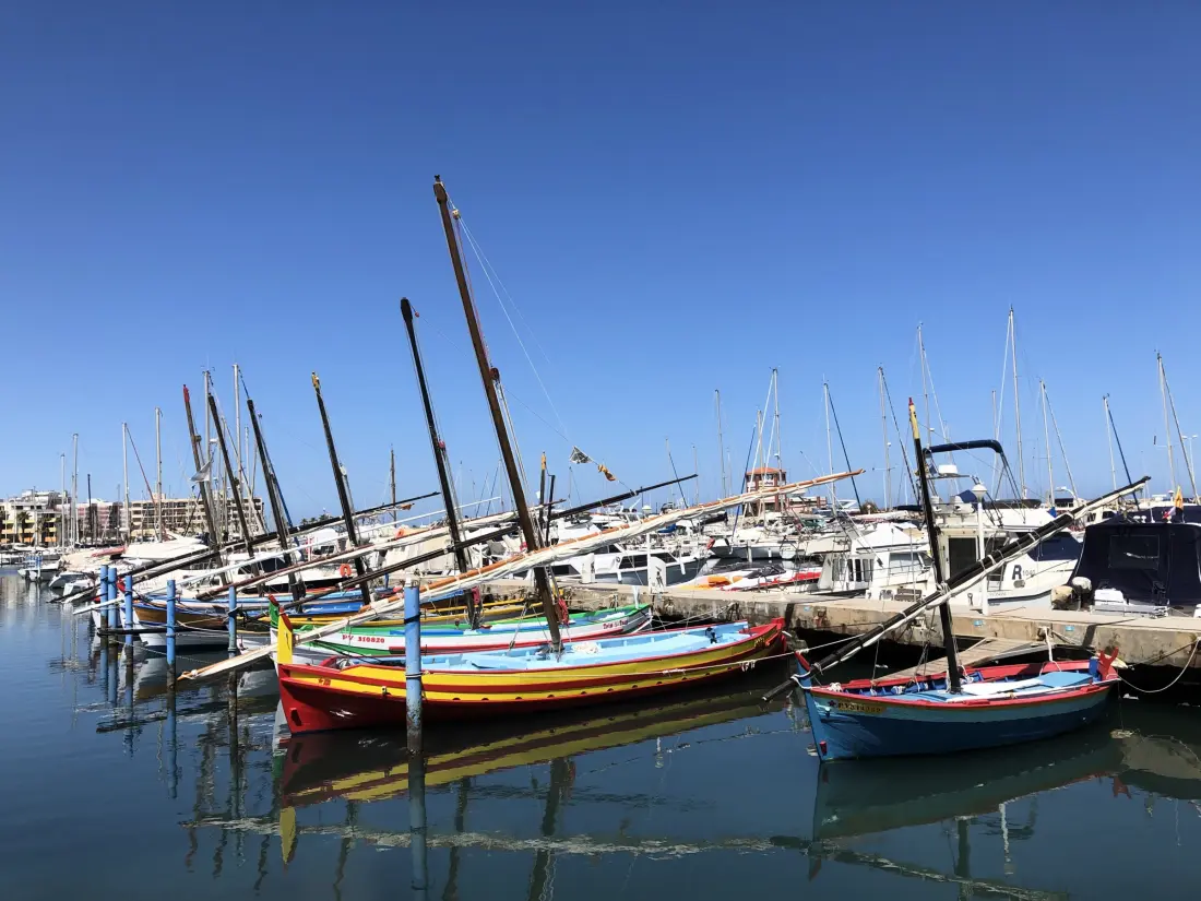 Location de Vacances Le Barcarès 519