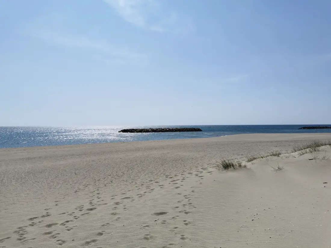 Location de Vacances Le Barcarès 548