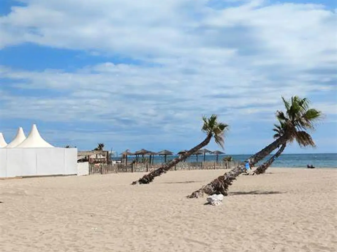 Location de Vacances Le Barcarès 583