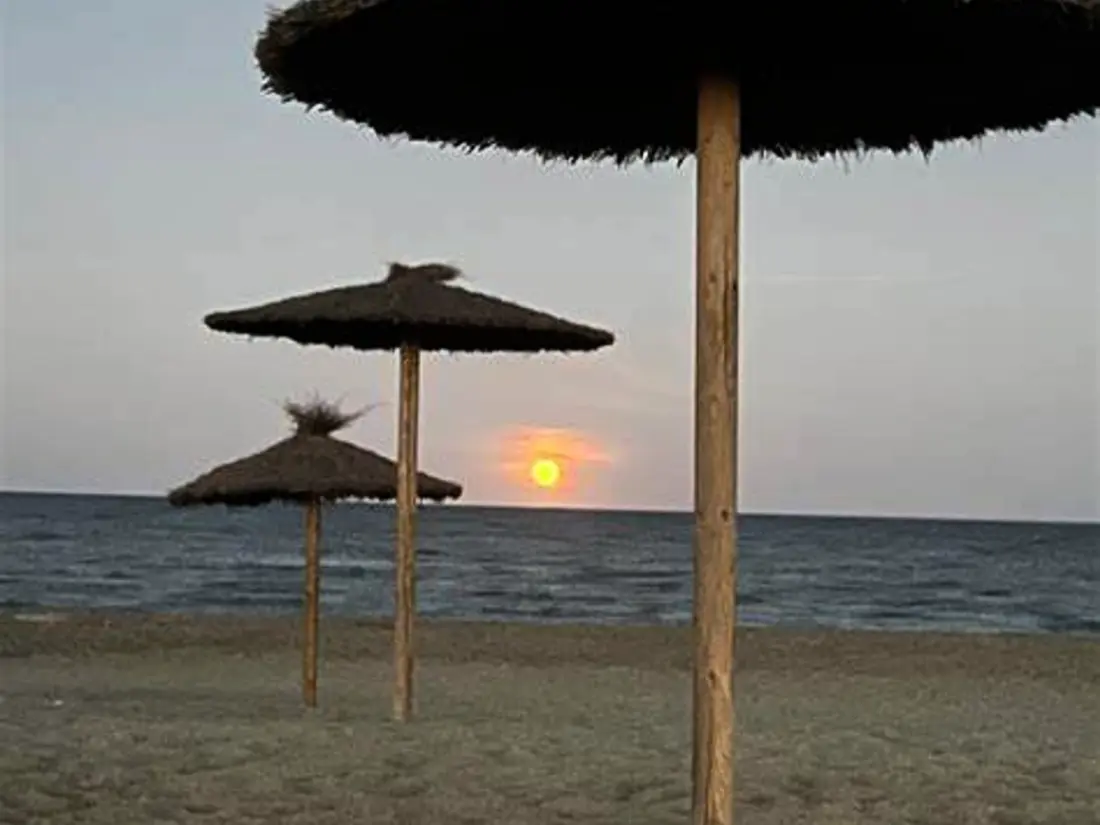 Location de Vacances Le Barcarès 583