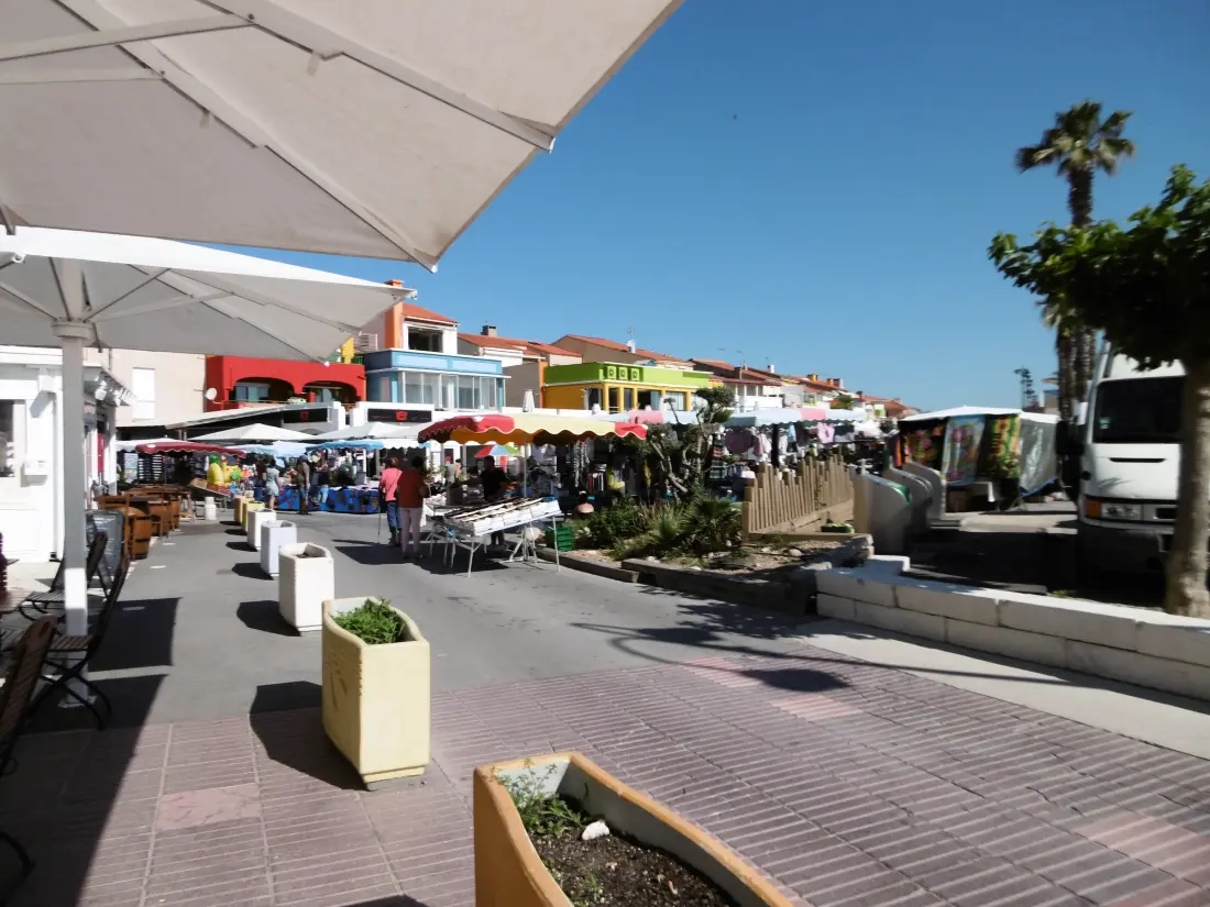 Location de Vacances Le Barcarès 583