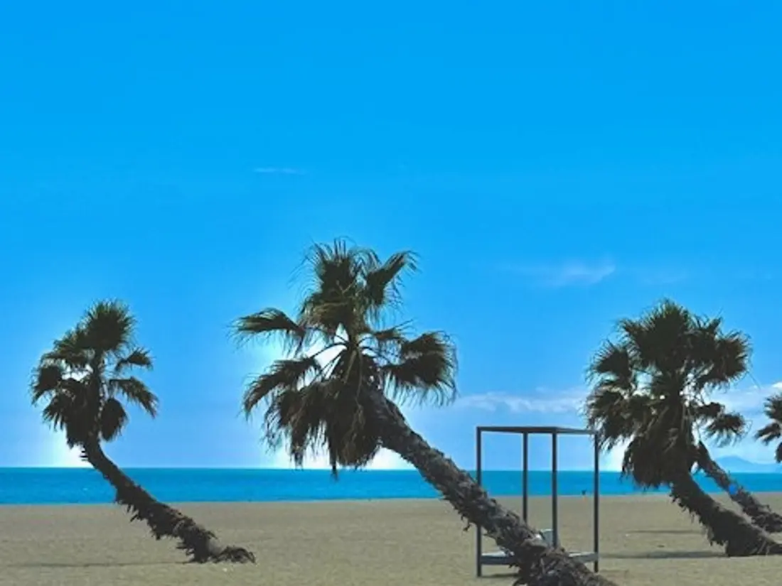 Location de Vacances Le Barcarès 622