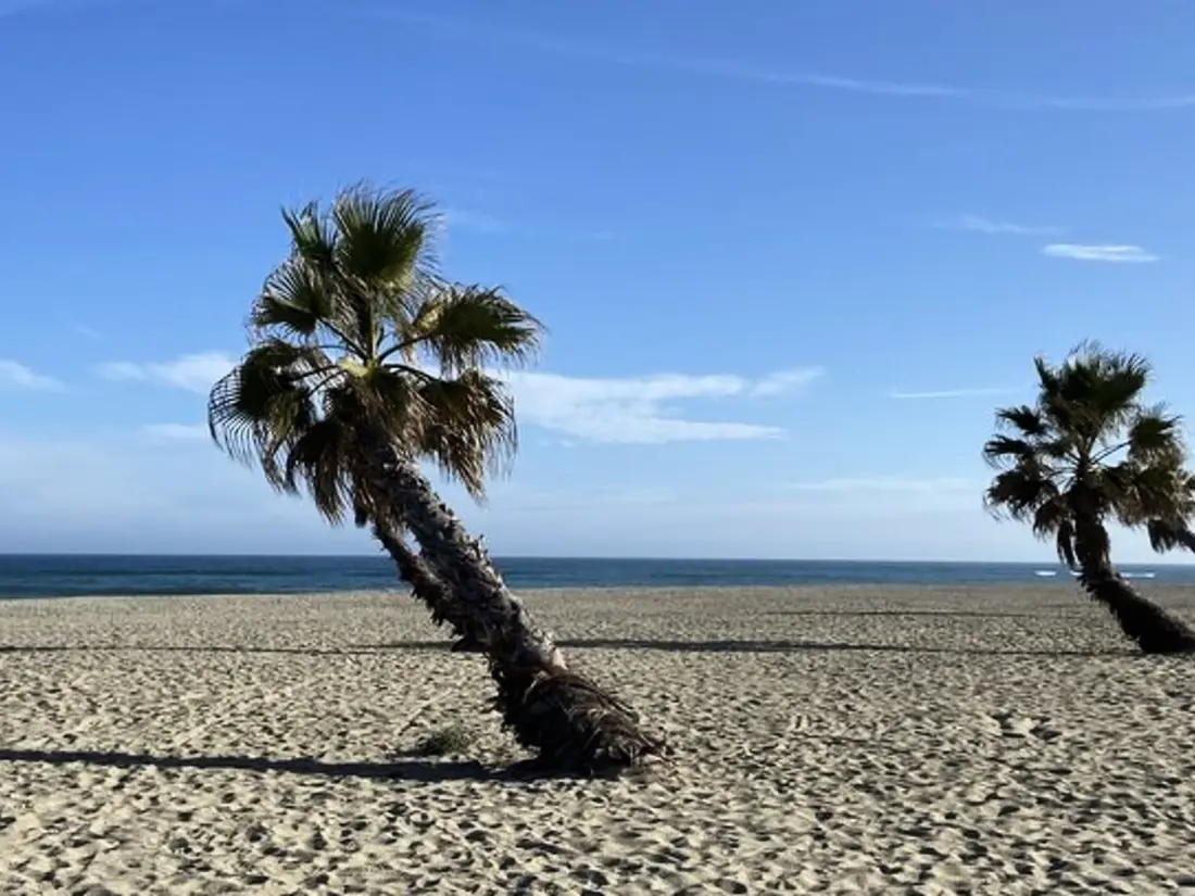 Location de Vacances Le Barcarès 626