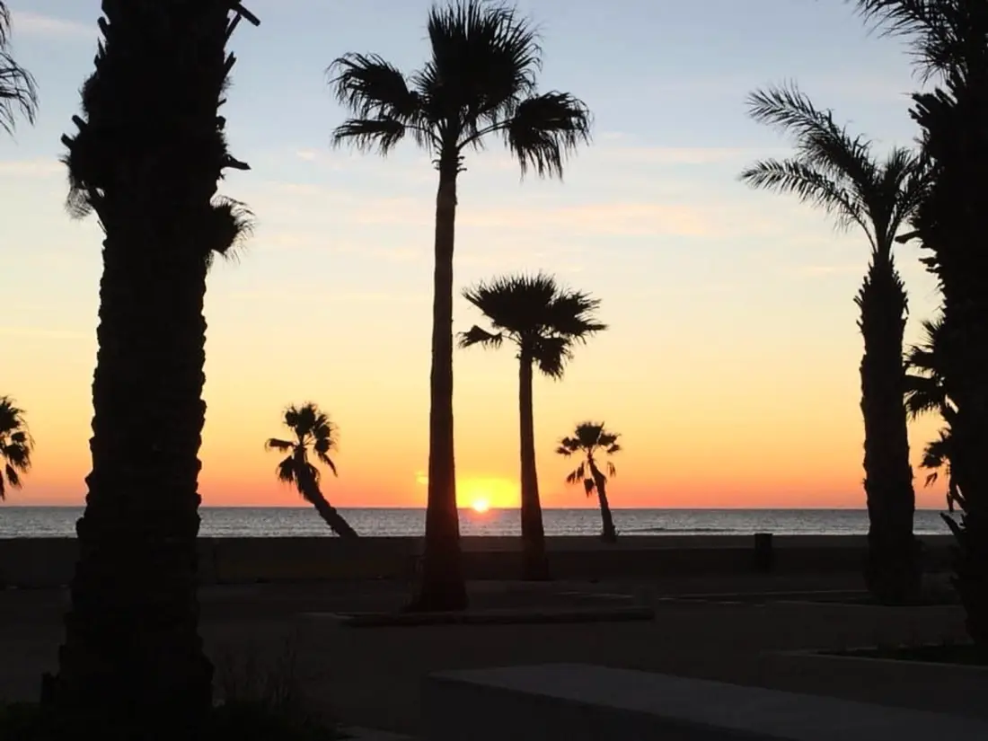 Location de Vacances Le Barcarès 627