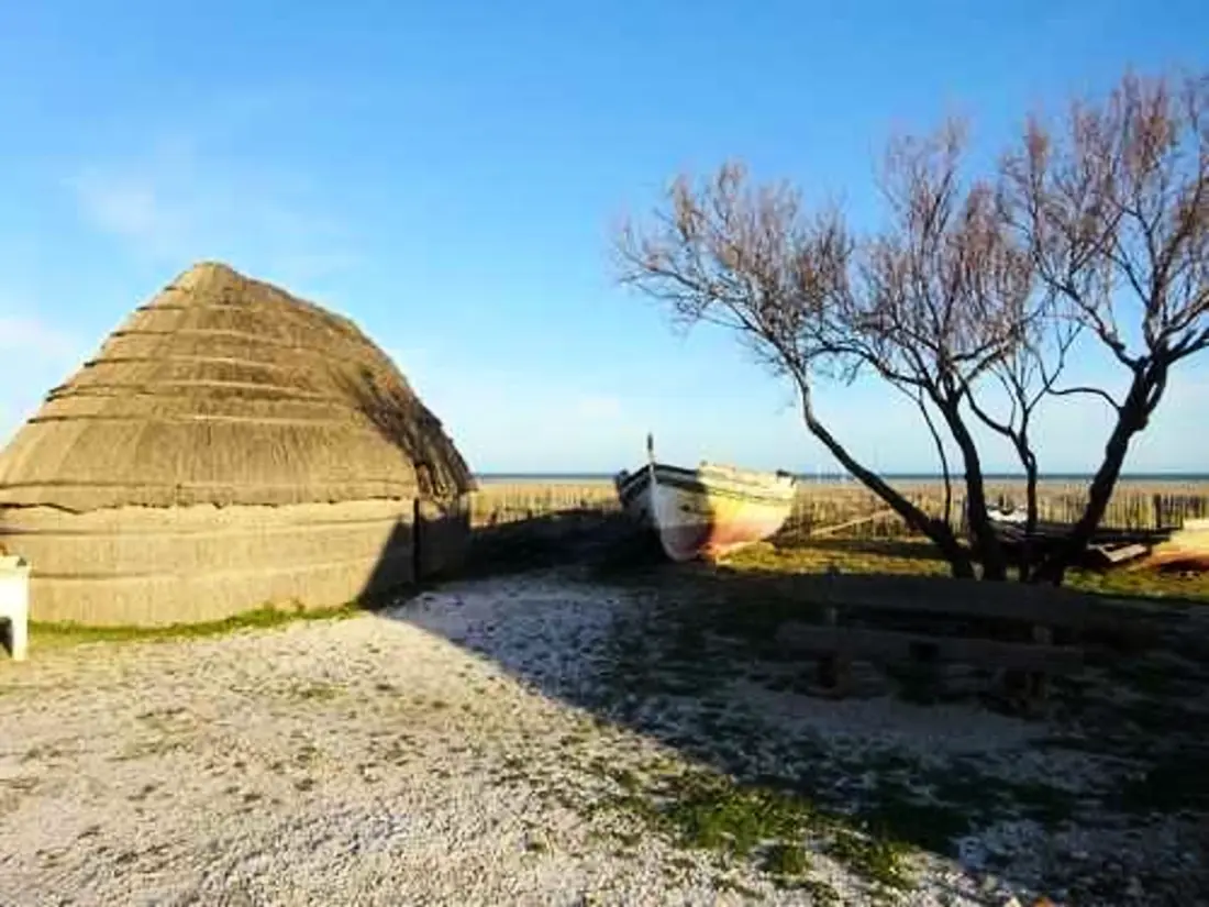 Location de Vacances Le Barcarès 682