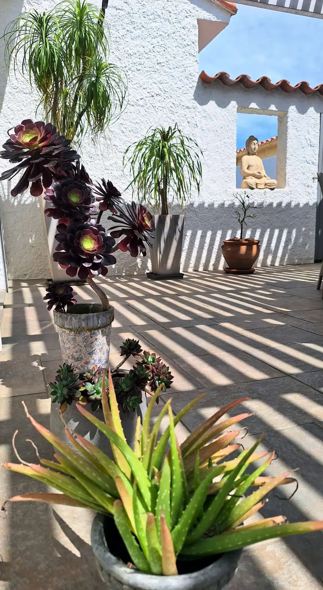 Résidence 8albau26-le Barcares