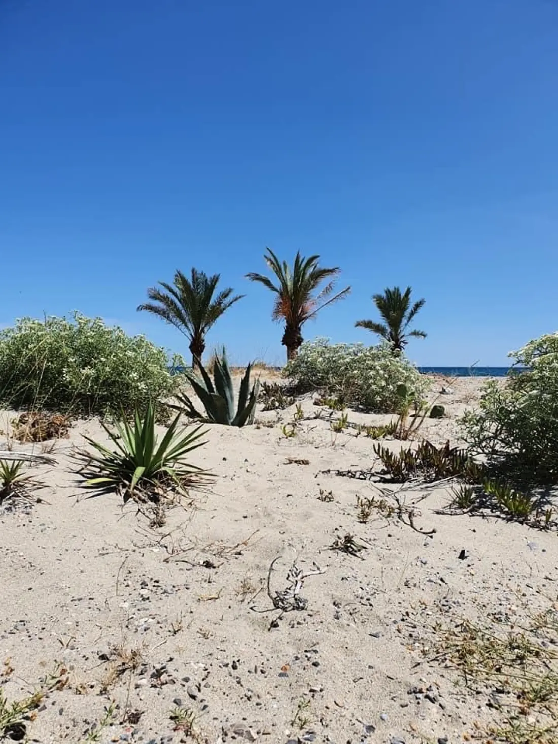Résidence Jardins Du Rivage