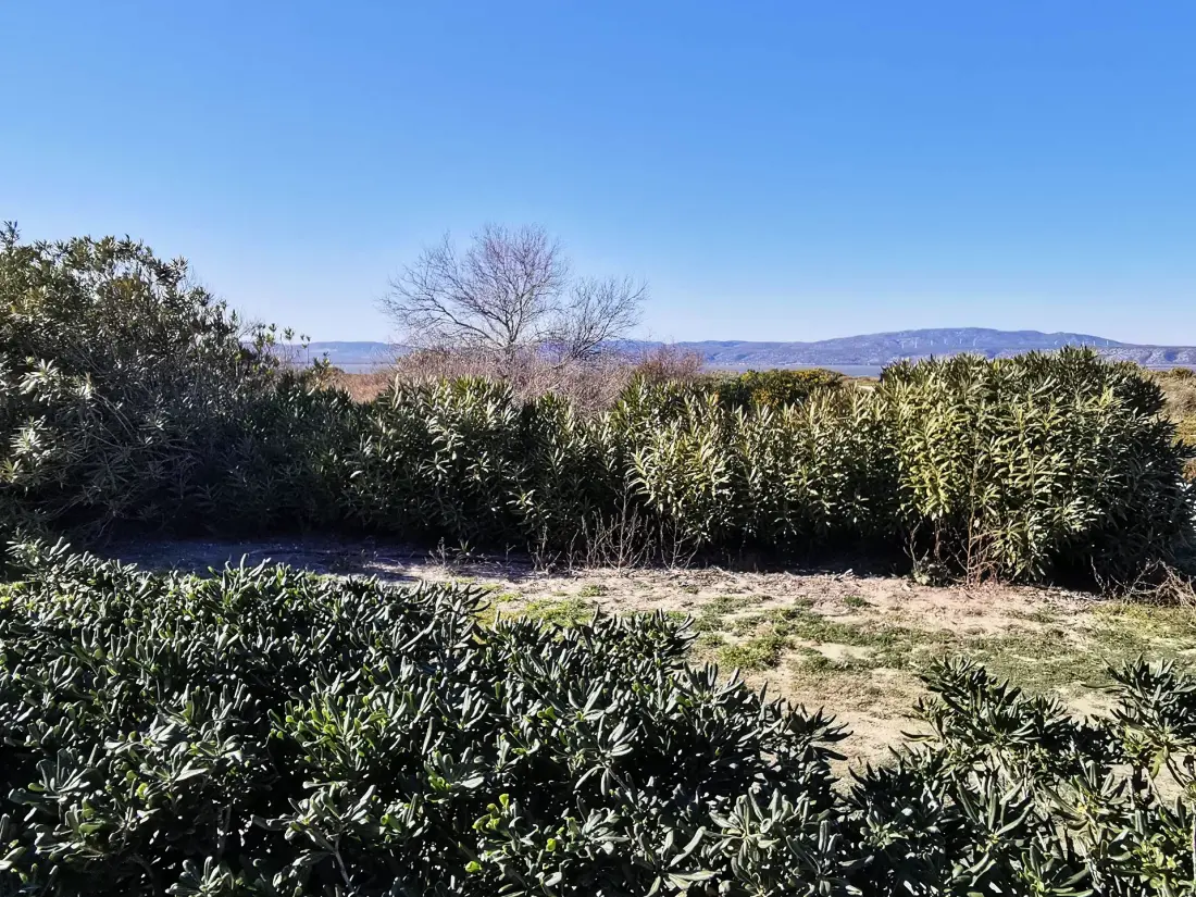 Résidence Les Bastides Du Cap