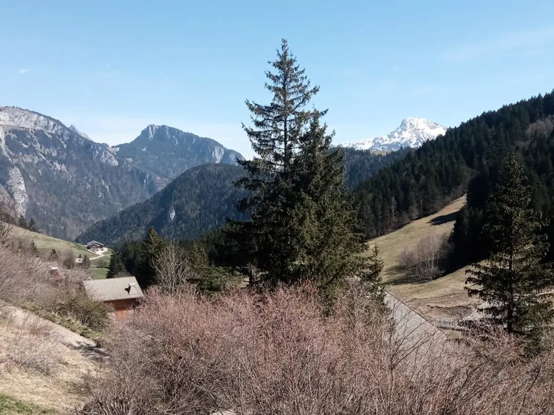 Location de Vacances Le Biot 35