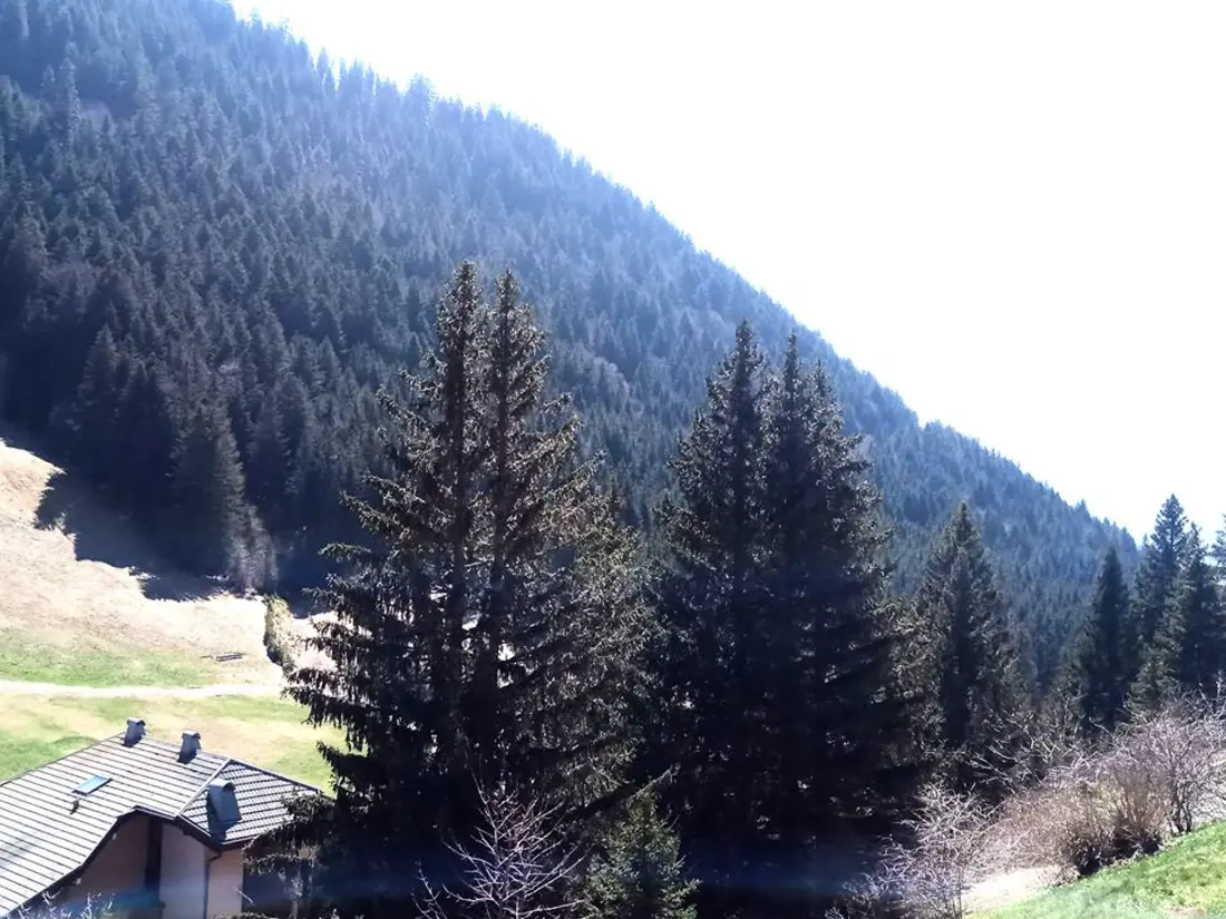 Location de Vacances Le Biot 35