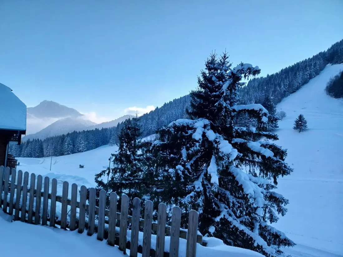 Location de Vacances Le Biot 36