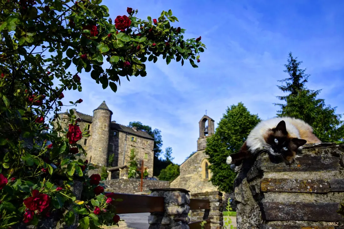 Gîte de France "le mas d'hillaire" 2/4 personnes à saint jean du bleymard 3 épis