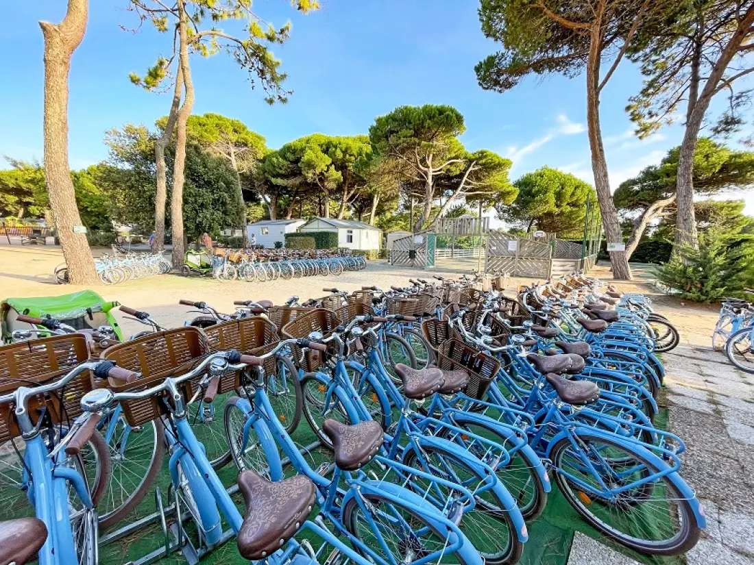 Camping Le Suroit 41 étoiles★