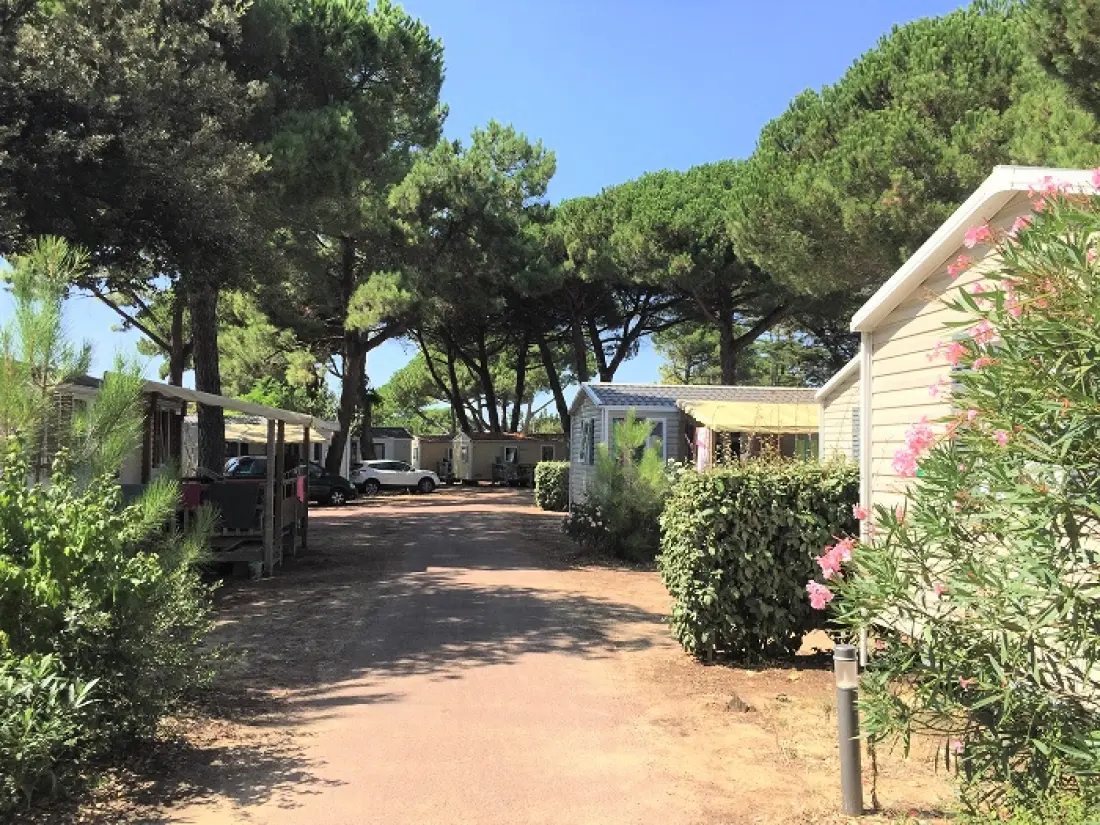 Camping Le Suroit 41 étoiles★