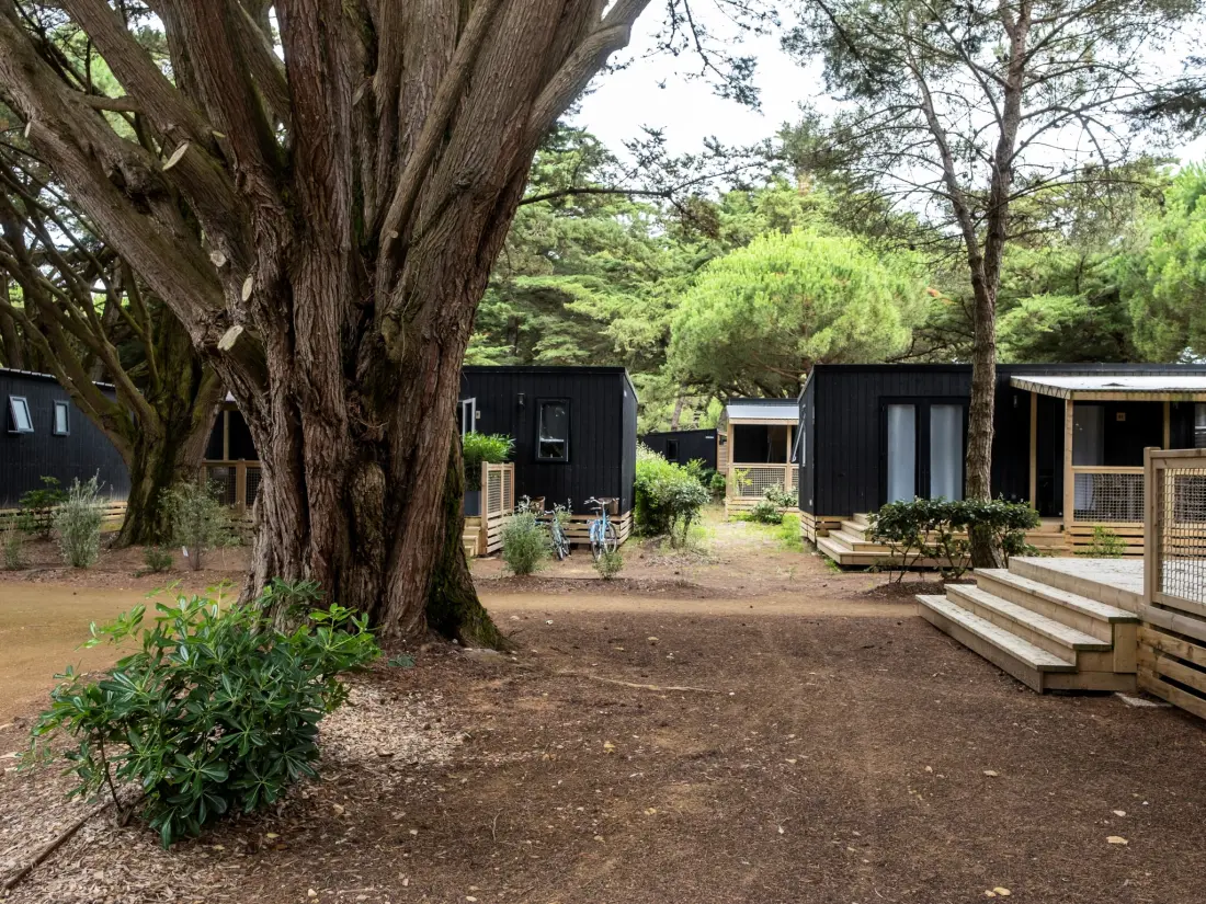 Flower Camping Tamarins Plage  4 étoiles★★★★