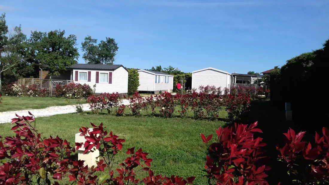 Camping Mas Llinas 4 étoiles★★★★