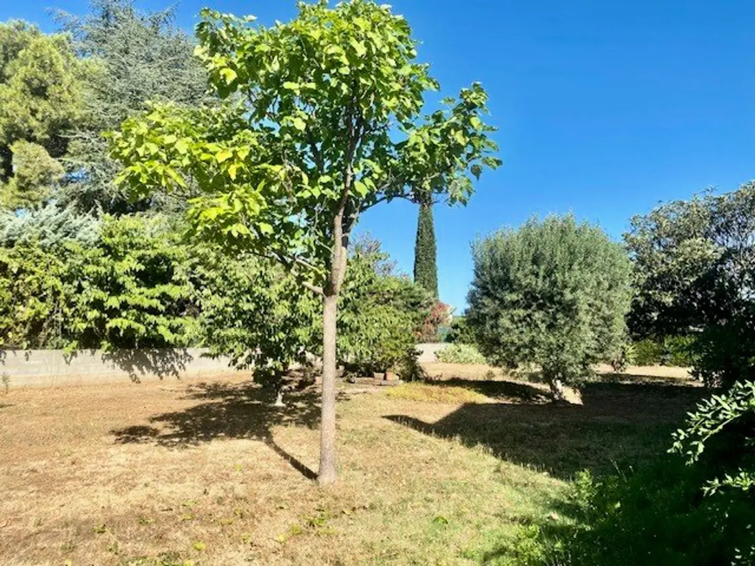 Maison de Vacances Le Boulou 6