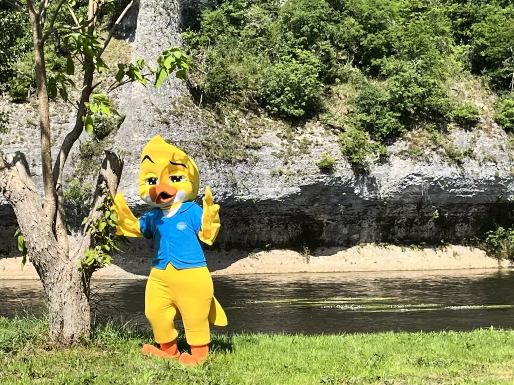 Camping Paradis Rocher de la Granelle 31 étoiles★