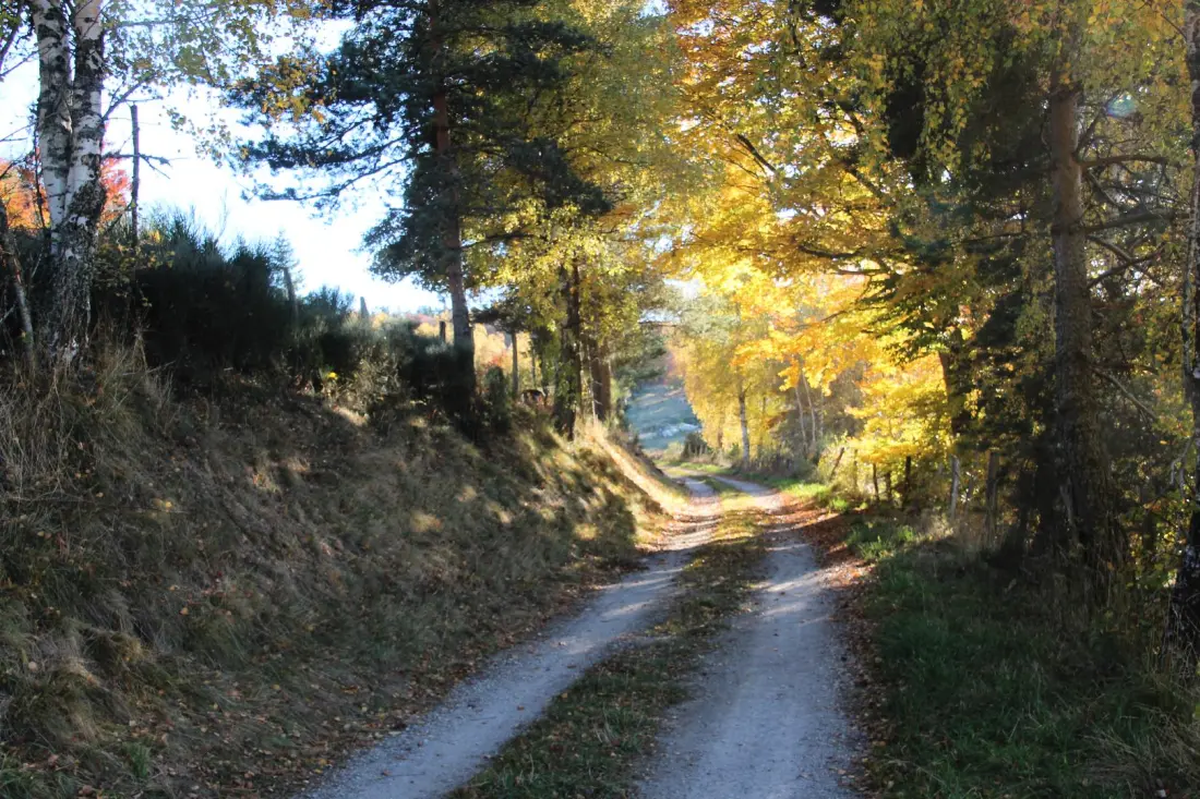 Gîte de France La maison de castanet entre aubrac et margeride 3 épis