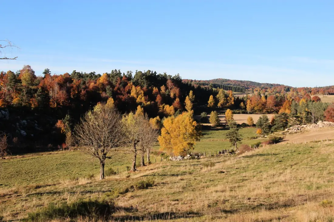 Gîte de France La maison de castanet entre aubrac et margeride 3 épis