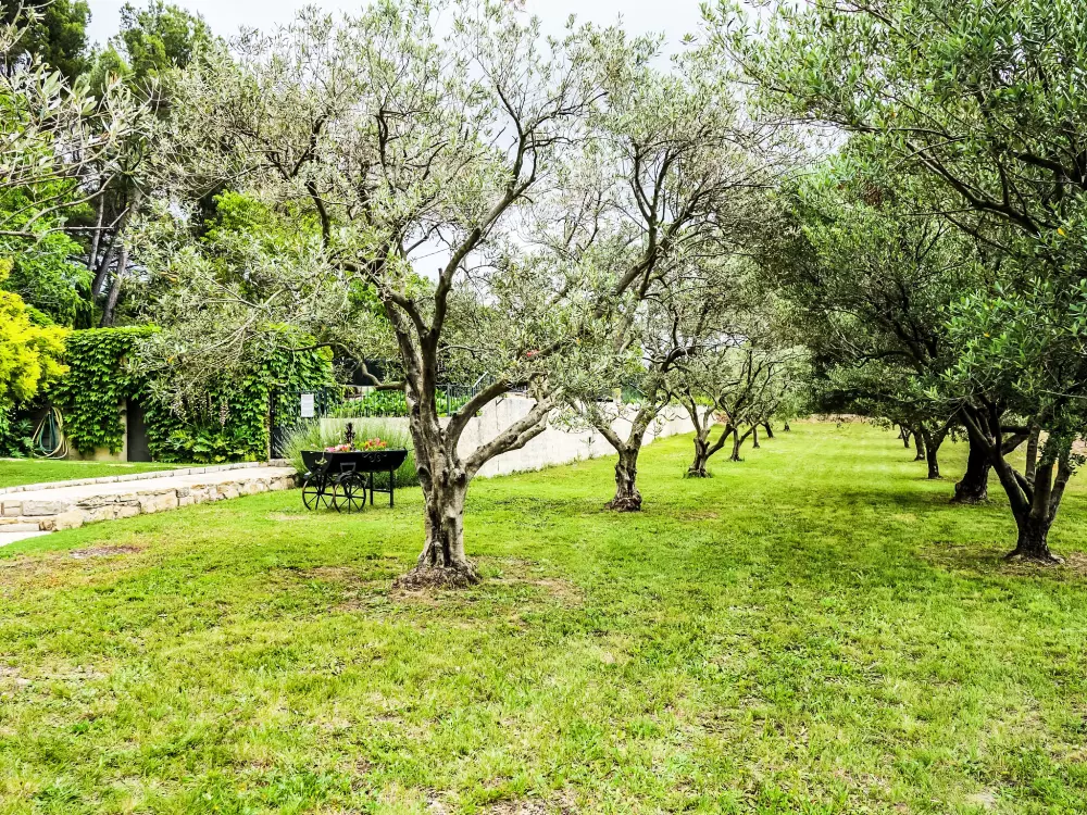 Résidence Le Mas Line