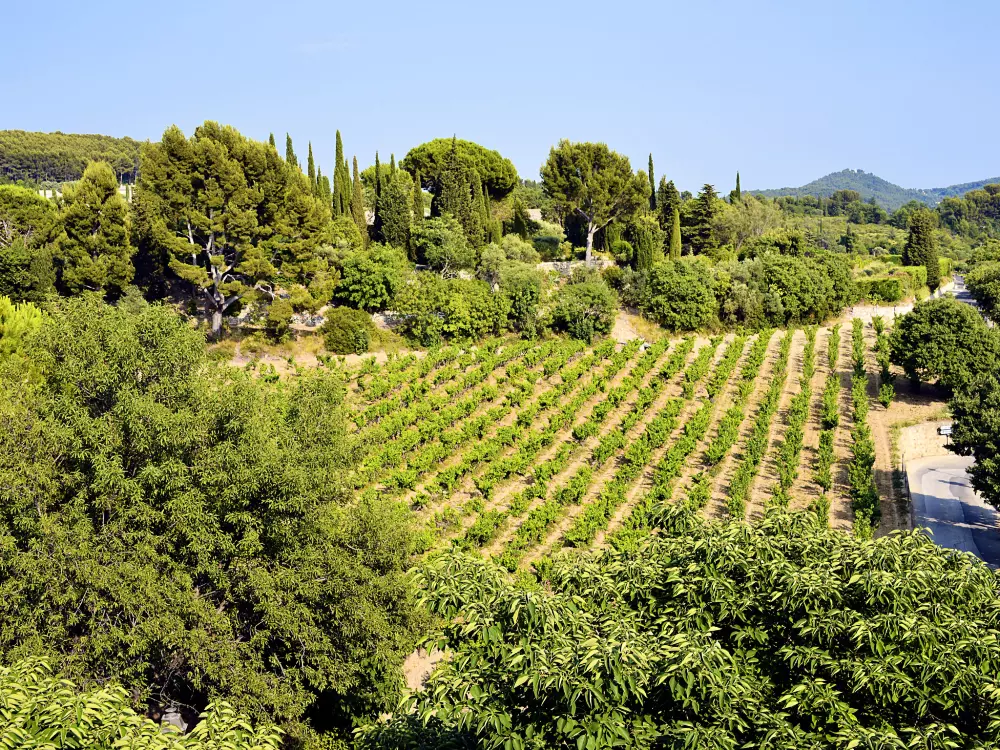 Résidence Le Mas Line