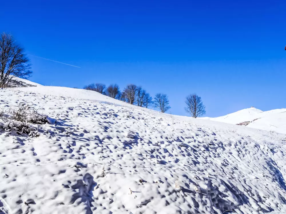 Résidence Les Pistes