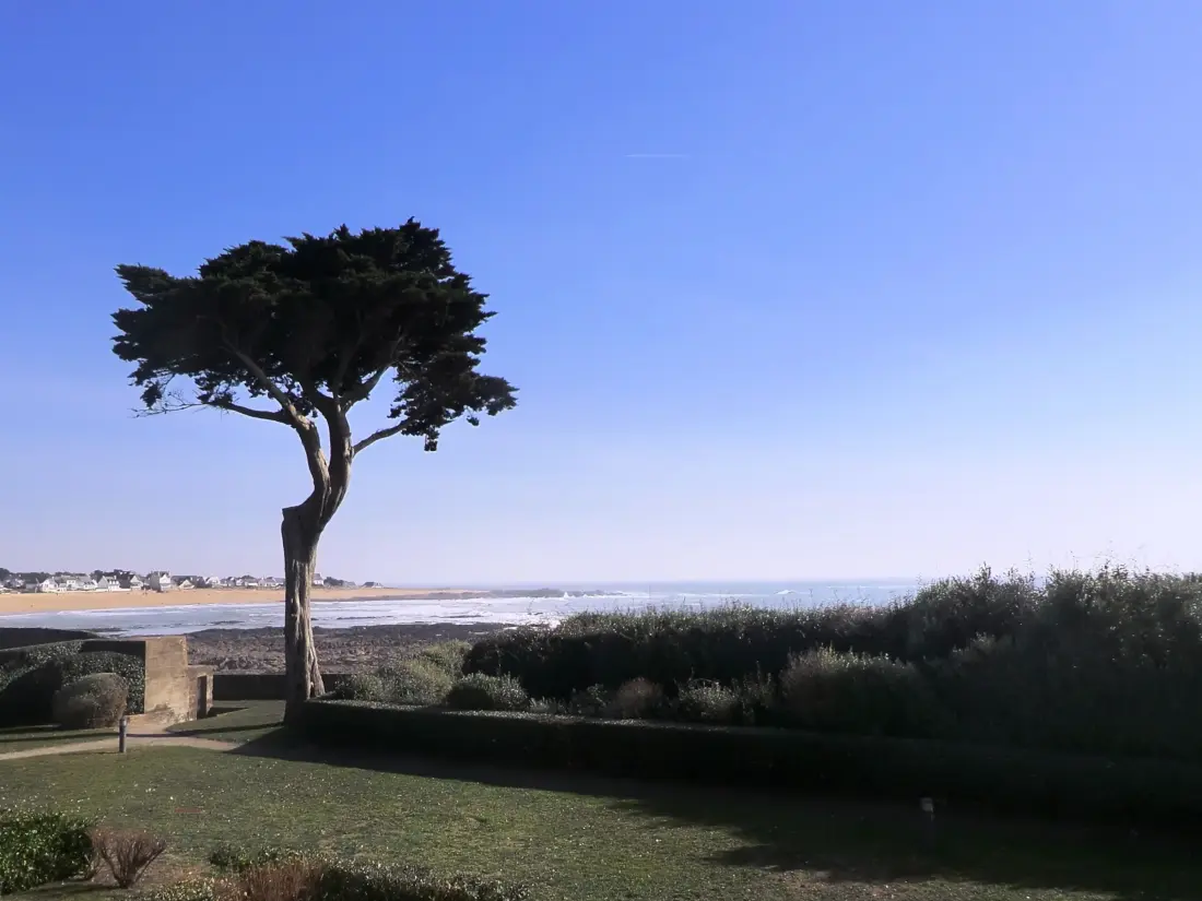 Location de Vacances Le Croisic 80