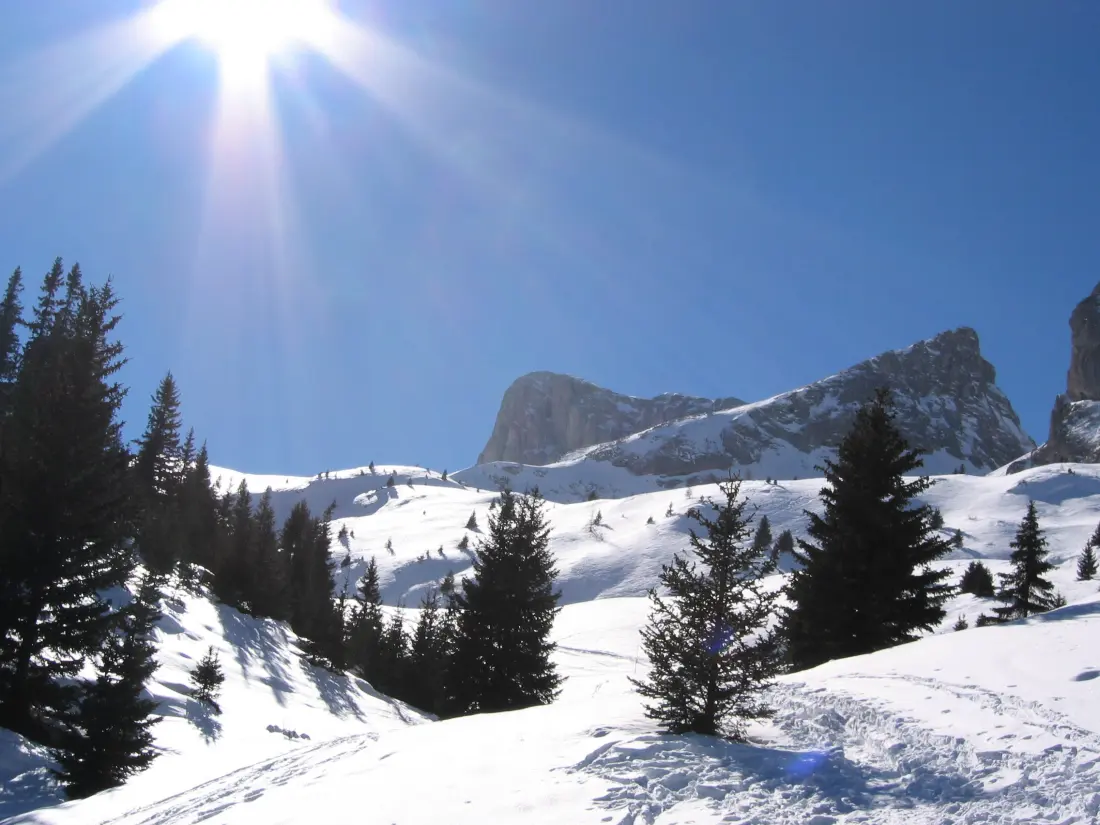 Chalets à Le Dévoluy