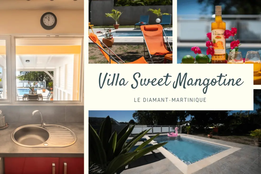 972a - Magnifique Rez-de-chaussée Avec Piscine