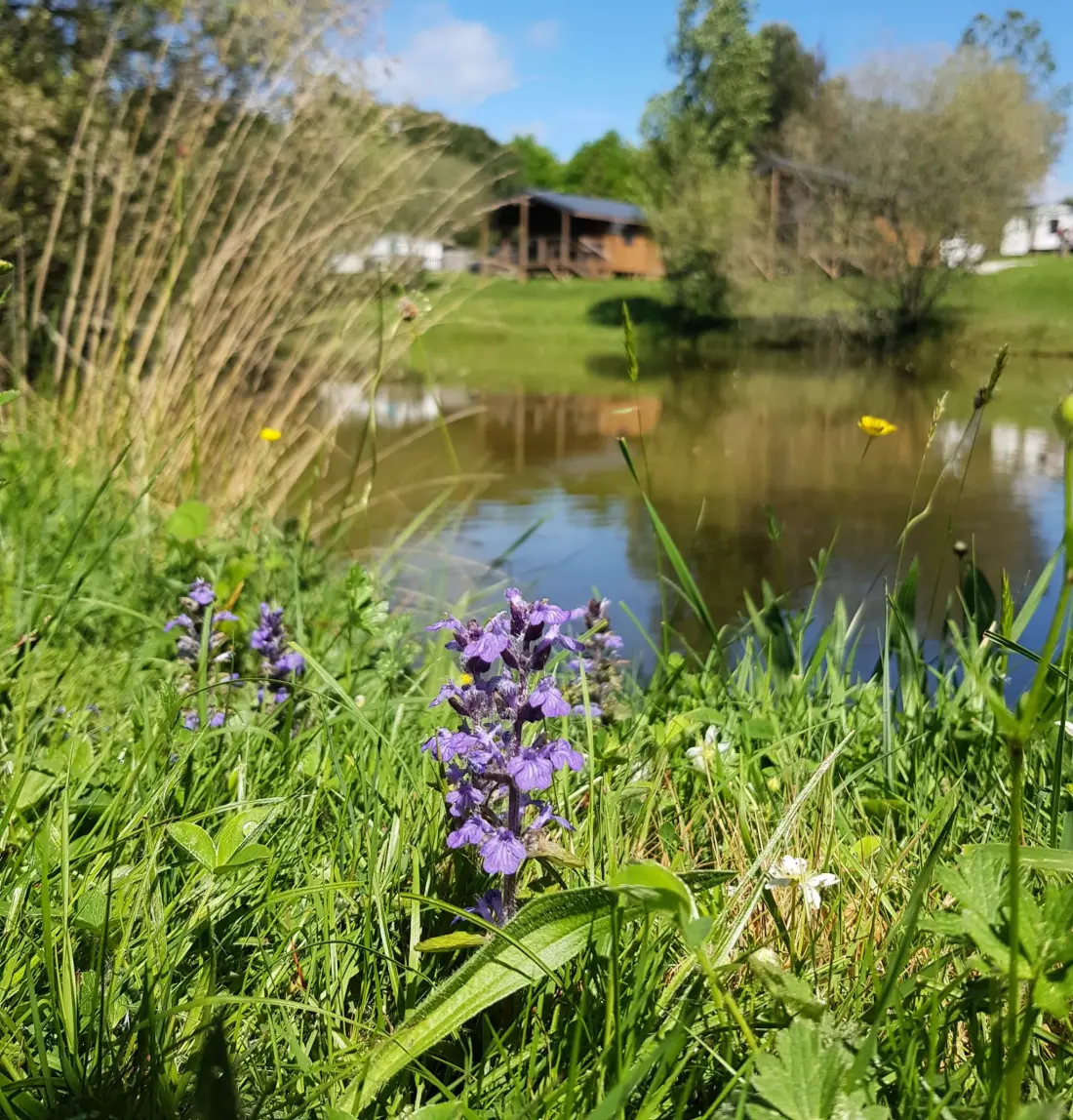 Camping LA MOTTE 3 étoiles★★★