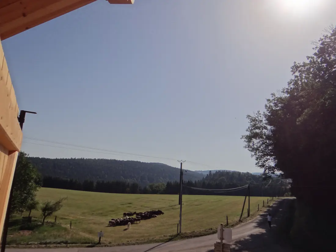 Maison de Vacances Girmont-Val-D'Ajol 10