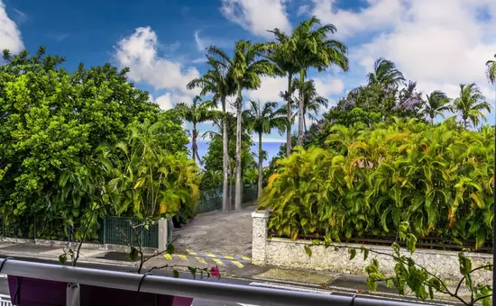 Appartement Orchid Dan