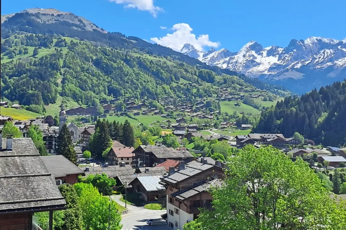 Appartement Lumineux Centre Village