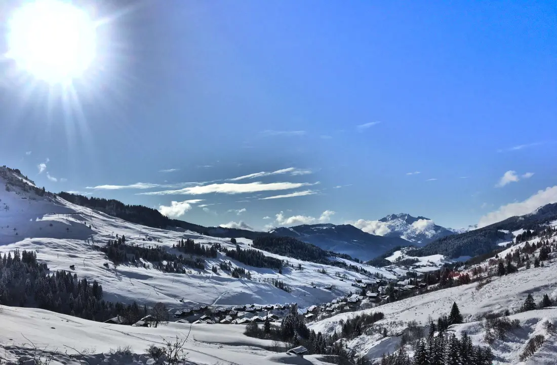 Chalet Le Trefle