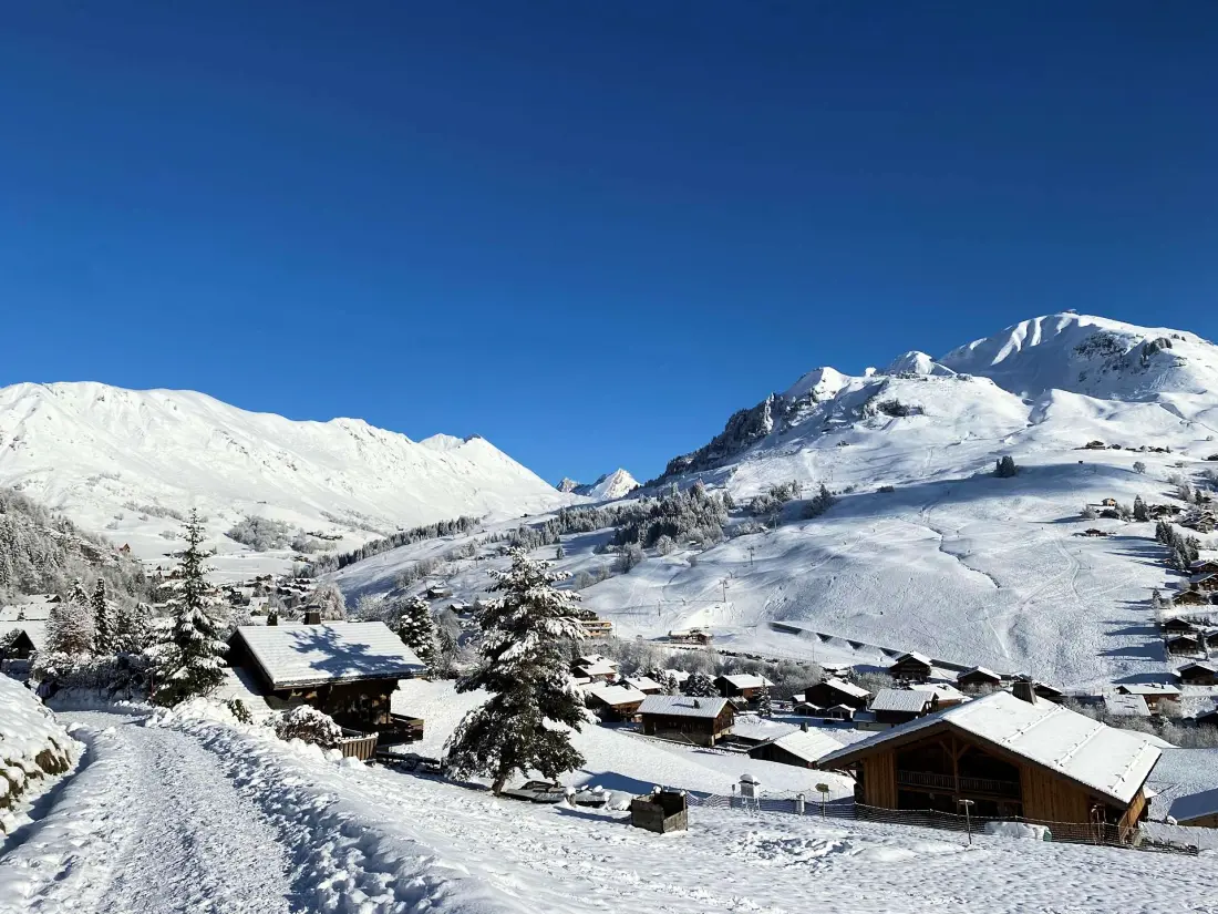 Chalet Le Trefle